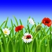 thumb-1920-709412