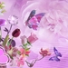 thumb-1920-727026 (1)