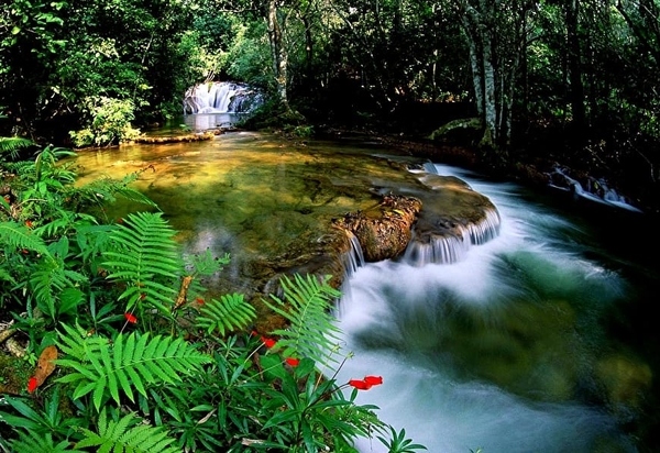 rivier-natuur-stroom-waterval-achtergrond (1)