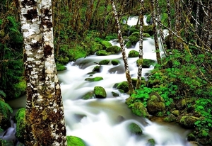 rivier-natuur-stroom-waterval-achtergrond (2)