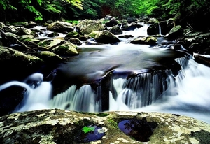 rivier-natuur-stroom-waterval-achtergrond (3)