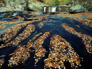 rivier-rotsen-rif-rotsachtige-achtergrond