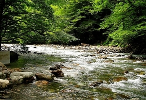 rivier-stroom-natuur-bergrivier-achtergrond