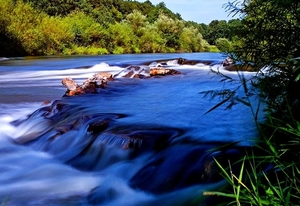 roongta-park-natuur-rivier-kota-achtergrond