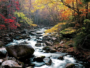 stroom-natuur-bergrivier-rivier-achtergrond (1)