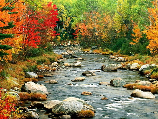 stroom-natuur-bergrivier-rivier-achtergrond