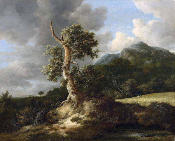 Jacob_van_Ruisdael_-_Bergachtig_landschap_met_knoestige_eik_voor_