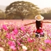 Girl-in-Pink-Flowers-Field-Wallpapers-HD-Pictures