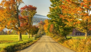 road-autumn-trees-landscape5797