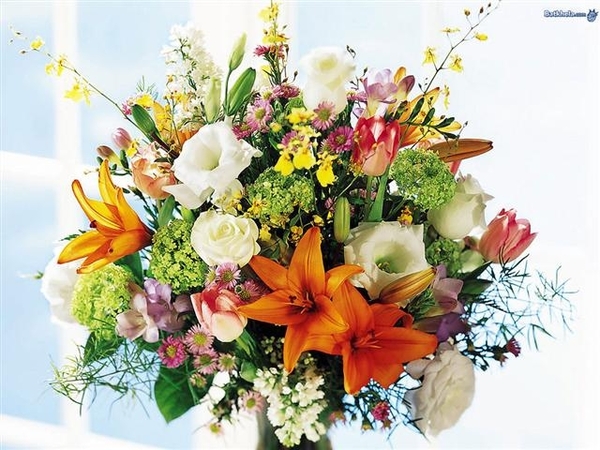 bloemen 267 (Small)