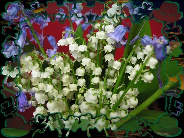 bloemen 378 (Small)