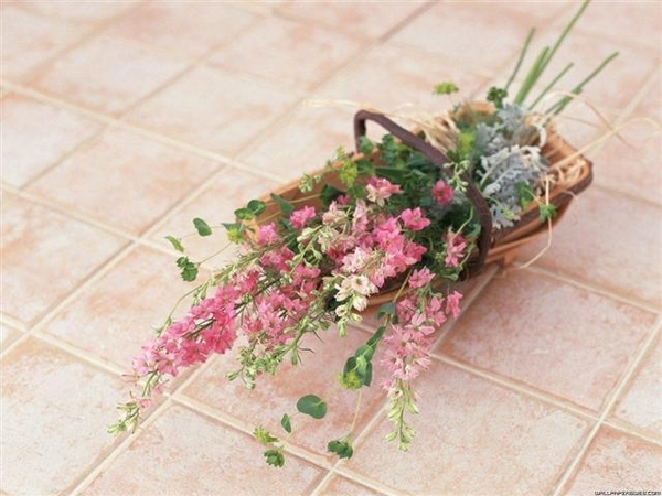 bloemen 42 (Small)