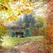 autumn-986350_960_720