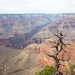 canyon-3222903_960_720