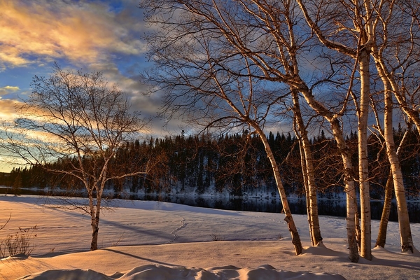 winter-landscape-2093366_960_720