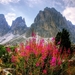 dolomites-2582952_960_720