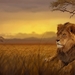 lion-3276692_960_720