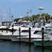 boat-marina-3338658_960_720