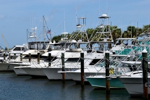 boat-marina-3338658_960_720