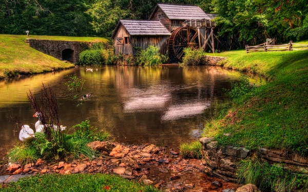 800326-bridges-ducks-fences-houses-lakes-landscapes-meadows-natur