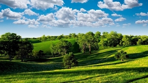 summer-field-meadow-trees-sky-clouds-hd-1080P-wallpaper - kopie