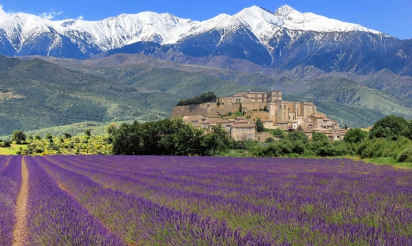 provence-centre-landscape