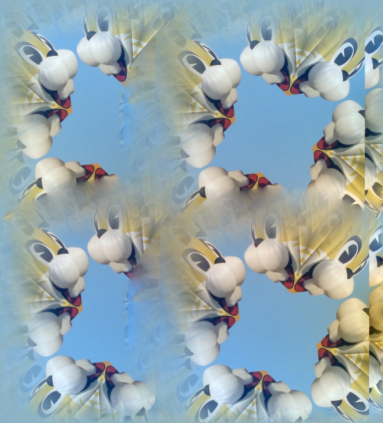x19