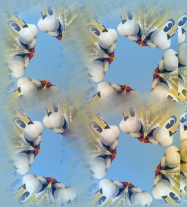 x19