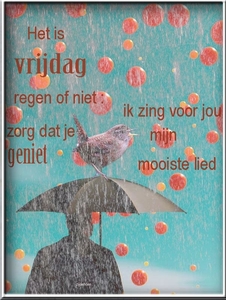 zijdehoen