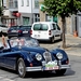 IMG_9778_2024-09-07-za_RAMc_Houffalize_vriendelijke-Jaguar_blauw_