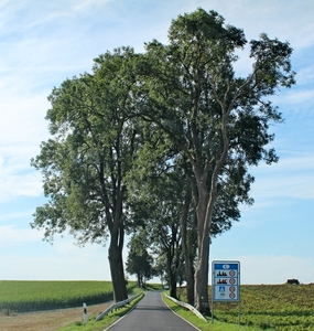 IMG_9700_2024-09-07-za_RAMc_Houffalize_grens-Luxemburg&mooi-weer