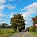 IMG_0110_2024-09-08-zo_RAMc_onderweg_mais-velden=bijna-thuis_Limb