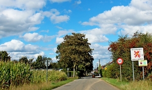 IMG_0110_2024-09-08-zo_RAMc_onderweg_mais-velden=bijna-thuis_Limb
