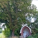 IMG_0108_2024-09-08-zo_RAMc_onderweg_Moeder-wilder-nis