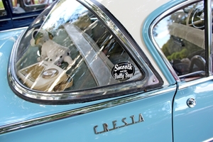 IMG_0073_2024-09-08-zo_RAMc_Esneux_1960-Vauxhall-Cresta_blauw_O-A
