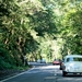 IMG_9966_2024-09-08-zo_RAMc_doort-bos_Mercedes-