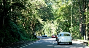 IMG_9966_2024-09-08-zo_RAMc_doort-bos_Mercedes-