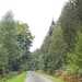 x010_IMG_9647_2024-09-06-vr_RAMc_doort-bos_result