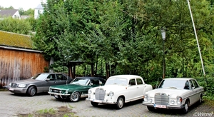 x017_IMG_9678_2024-09-06-vr_RAMc_Houffalize_Mustang&Mercedes_resu