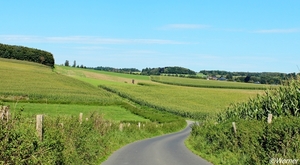 x031_IMG_9744_2024-09-07-za_RAMc_Luxemburg_mooi-uitzicht_result