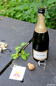 x062_IMG_9864_2024-09-07-za_RAMc_Houffalize_champagne-moment_Copa
