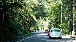 x118_IMG_9966_2024-09-08-zo_RAMc_doort-bos_Mercedes-_result