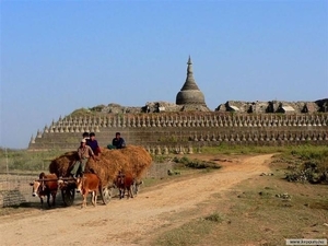 Birma 13 (Small)