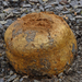 Pisolithus-arhizus-Verfstuifzwam-MH20100930_027181-3-Ga