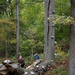 Fomes-fomentarius_Echte-tonderzwam-MH20101028_028236-8