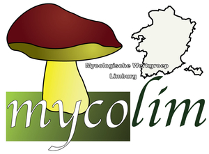Z_Mycolim logo