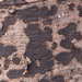 Biscogniauxia-nummularia-Ruwe-korstkogelzwam_20240215MH2129-7