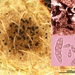 Coleroa-circinans_Ooievaarsbekkraterbultje_20190613MHE62744-8