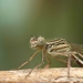 20100528_MH_021817-6