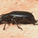 20090815_6260-3 keldertor